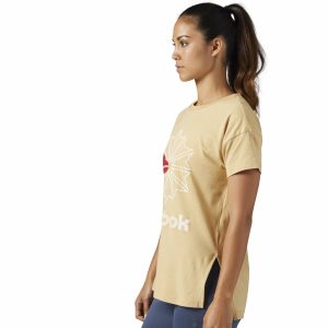 Reebok Classic Graphic T Shirt Damen - Beige - DE 590-ZOC